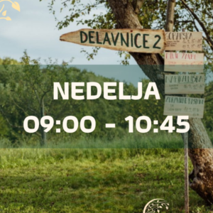 Strokovne delavnice - nedelja 9:00 - 10:45