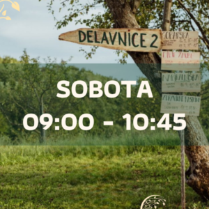 Strokovne delavnice - sobota 9:00 – 10:45
