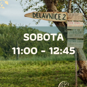 Strokovne delavnice - sobota 11:00 - 12:45