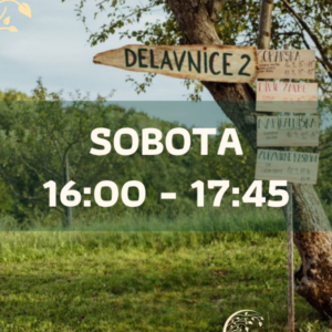 Strokovne delavnice - sobota 16:00 –17:45