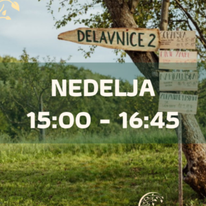 Strokovne delavnice - nedelja 15:00 – 16:45